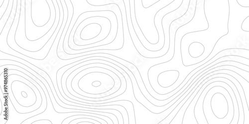 Abstract wave paper curved reliefs background .gradient multicolor wave curve lines banner background design .topographic contours map background .Vector geographic contour map.