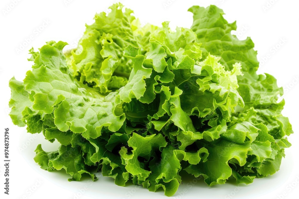 A fresh green lettuce pile on a white background