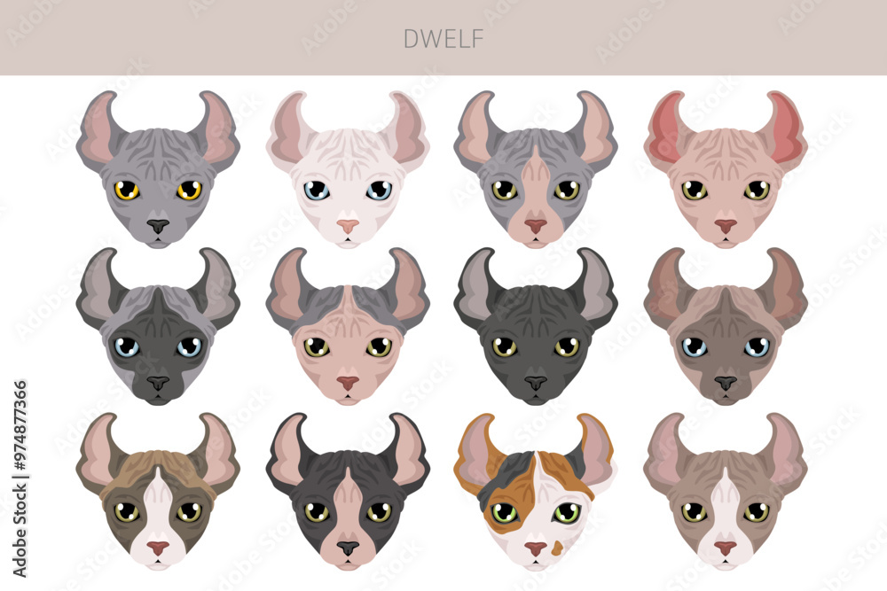 Dwelf Cat clipart. All coat colors set. All cat breeds characteristics infographic. Vector illustration Dwelf Cat clipart. All coat colors set. All cat breeds characteristics infographic. Vector illustration