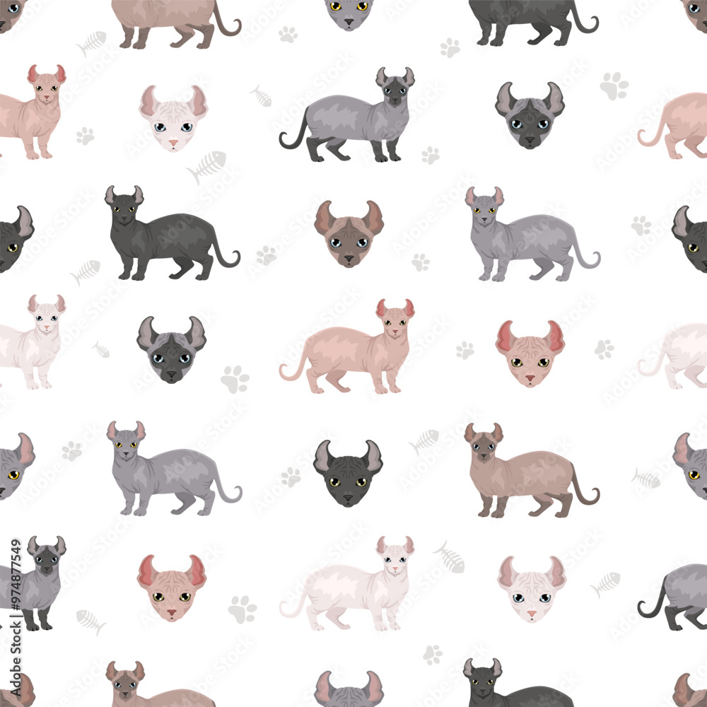 Dwelf Cat clipart. All coat colors set. All cat breeds characteristics infographic. Vector illustration Dwelf Cat clipart. All coat colors set. All cat breeds characteristics infographic. Vector illustration