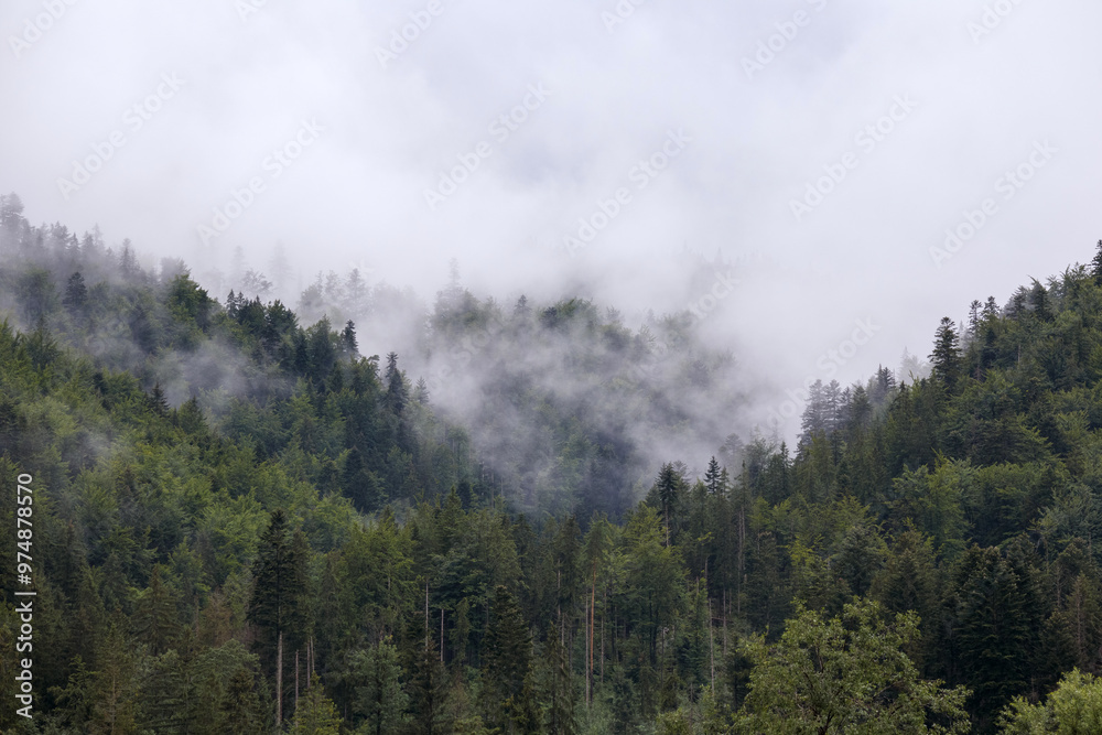 fog on the mountain before the rain
fog on the mountain before the rain