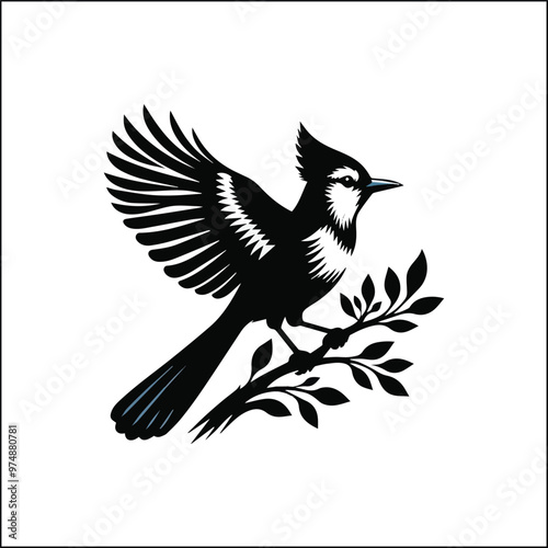 blue jay on a branch