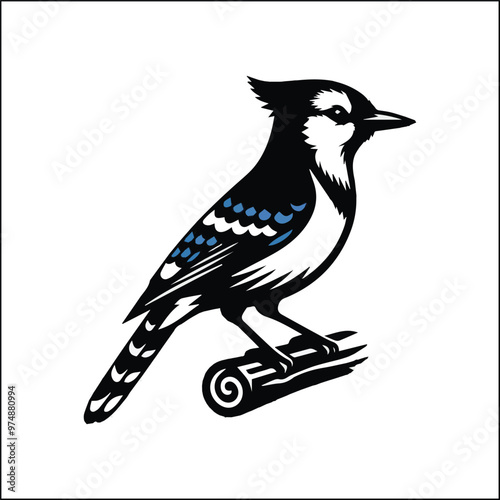 blue jay on a branch