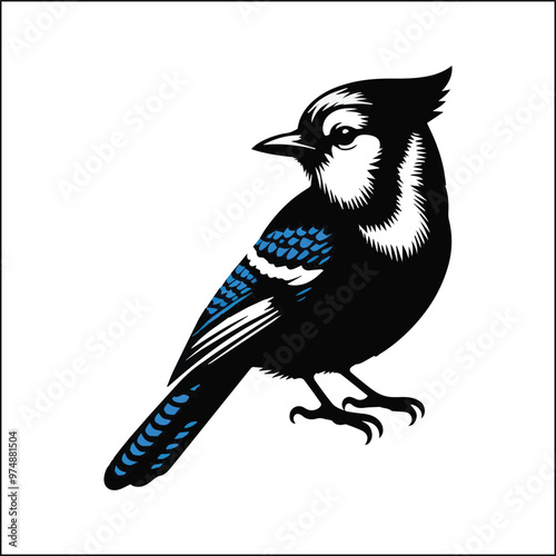 blue jay on a branch