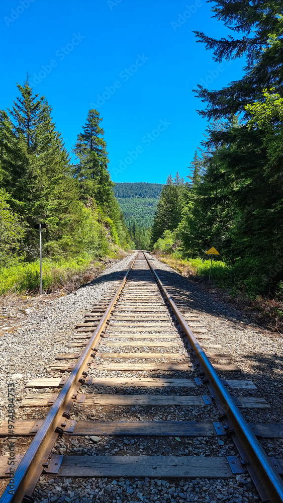 Fototapeta premium Canadian summer with forest backdrop showing railway