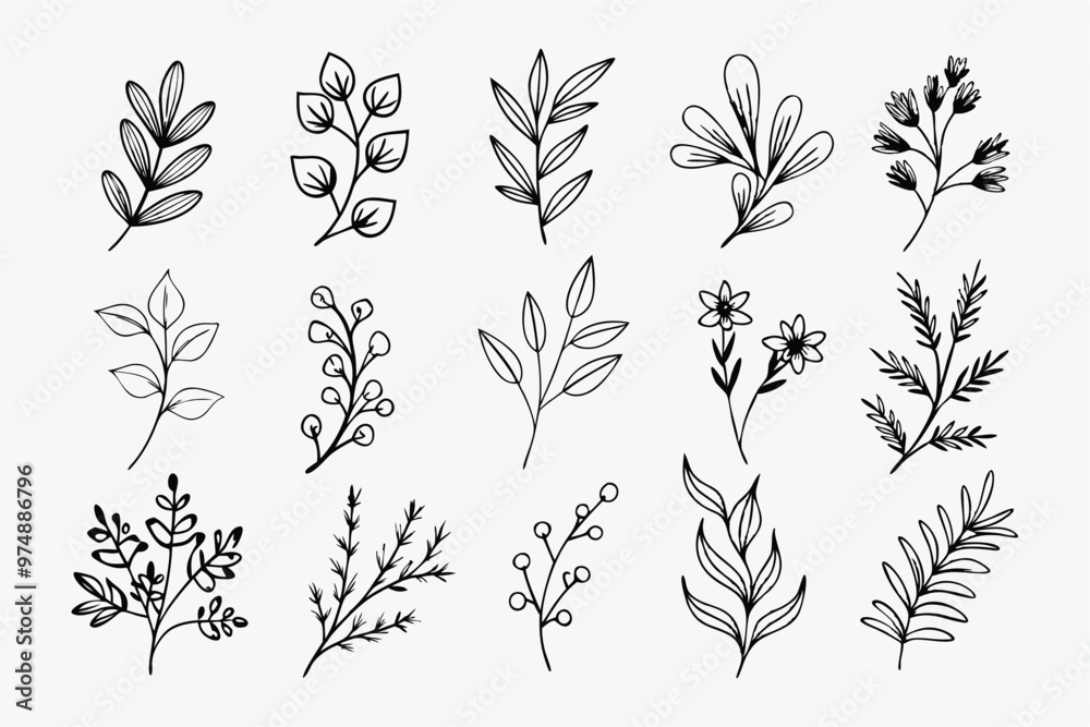 Fototapeta premium A set of wildflowers Floral branches and minimalist leaves for logos or tattoos. Hand-drawn line wedding herb, elegant wildflowers. Minimal line art drawing for print, cover, or wallpaper
