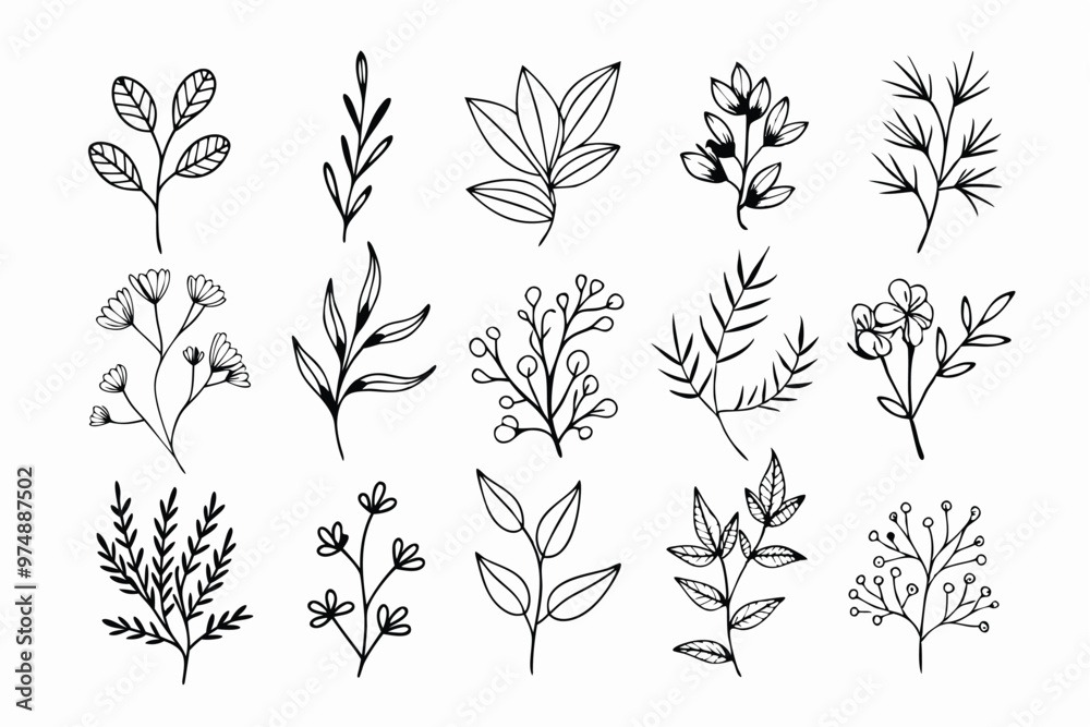 A set of wildflowers Floral branches and minimalist leaves for logos or tattoos. Hand-drawn line wedding herb, elegant wildflowers. Minimal line art drawing for print, cover, or wallpaper A set of wildflowers Floral branches and minimalist leaves for logos or tattoos. Hand-drawn line wedding herb, elegant wildflowers. Minimal line art drawing for print, cover, or wallpaper