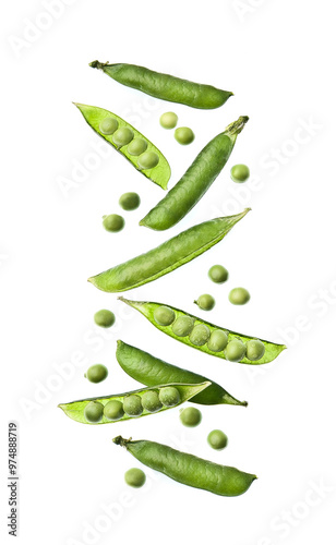 Fly in air on green peas pods on white backgrounds photo