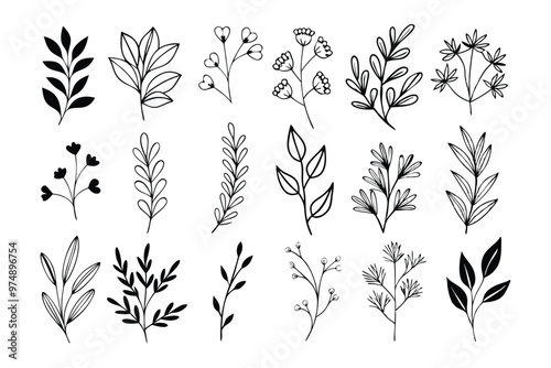 A set of wildflowers Floral branches and minimalist leaves for logos or tattoos. Hand-drawn line wedding herb, elegant wildflowers. Minimal line art drawing for print, cover, or wallpaper