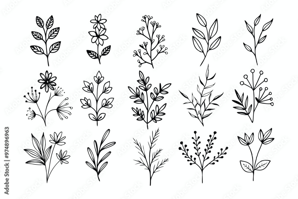 A set of wildflowers Floral branches and minimalist leaves for logos or tattoos. Hand-drawn line wedding herb, elegant wildflowers. Minimal line art drawing for print, cover, or wallpaper