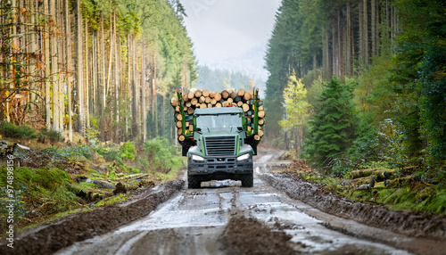 Wallpaper Mural Logging truck is transporting large load of freshly cut timber logs through muddy road Torontodigital.ca