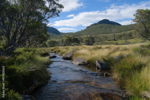 A river runs through a lush green field with a clear blue sky above. The scene is peaceful and serene, with the water flowing gently and the trees providing a sense of calm