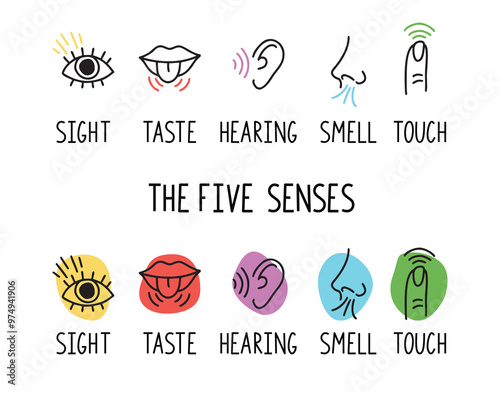 5 human senses illustrations. Taste, sight, touch, smell and hearing. Tongue, eye, finger, nose and ear. Trendy doodle hand drawn thin line icon 