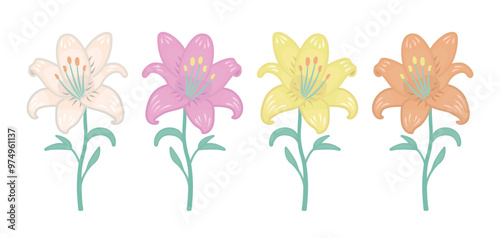 Lily flowers in white, pink, yellow and orange colors, buds with stems and leaves, vector colorful set