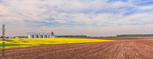 Agricultural fields and granaries on the horizon. Panoramic image of a field of plowed arable land and a field of yellow flowering rapeseed