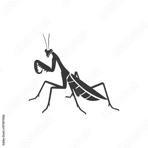 Black and White Silhouette of a Praying Mantis