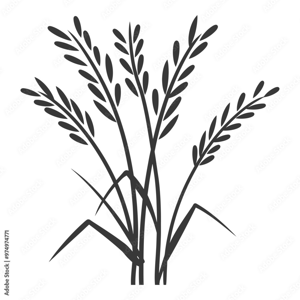Black and White Silhouette of Rice Plants Black and White Silhouette of Rice Plants