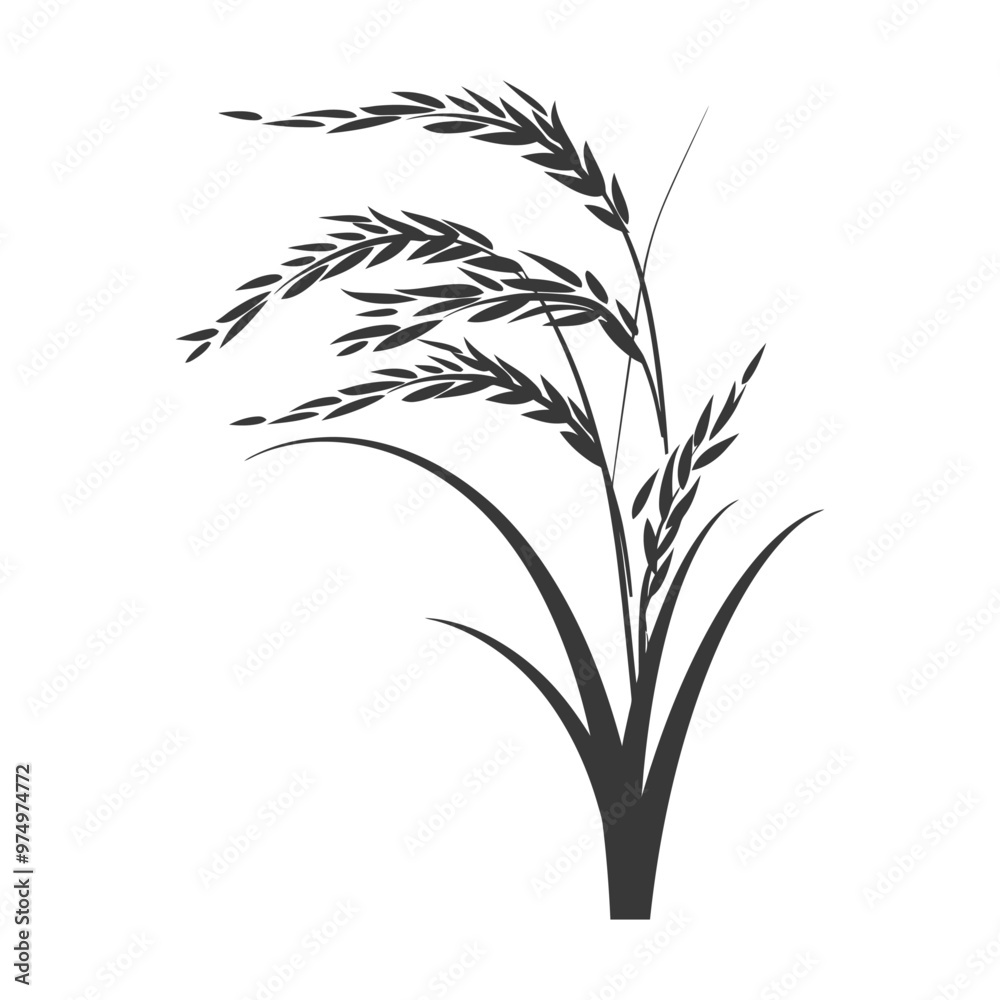 Obraz premium Black and White Silhouette of Rice Plant with Multiple Stalks