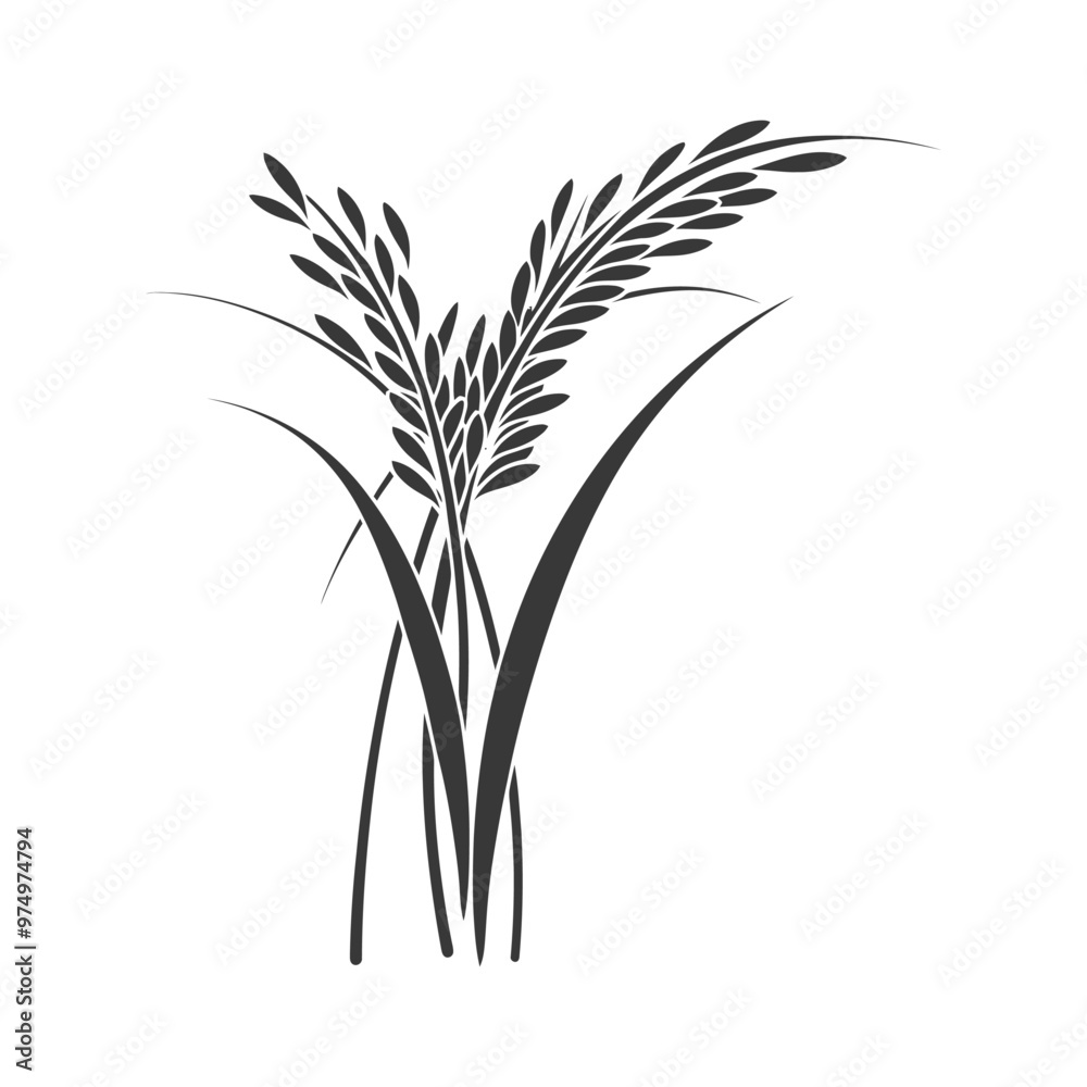 Black and White Silhouette of Rice Stalks with Grains Black and White Silhouette of Rice Stalks with Grains