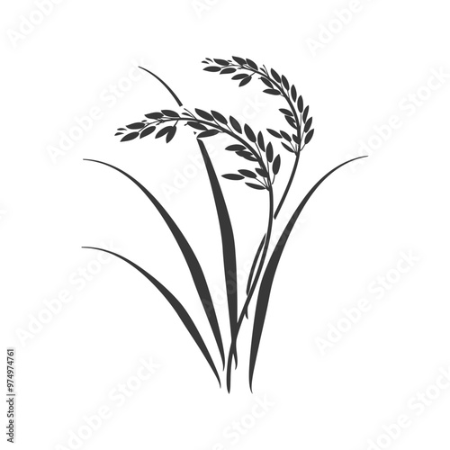 Black and White Silhouette of Rice Plants