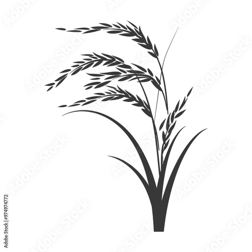 Black and White Silhouette of Rice Plant with Multiple Stalks