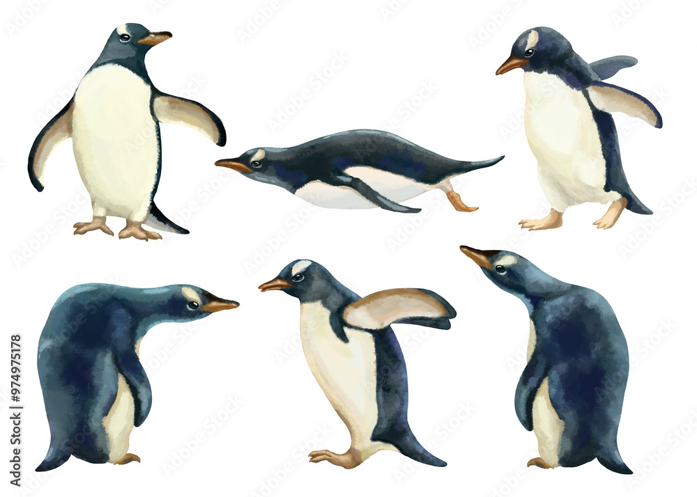 Fototapeta premium Watercolor illustration of a penguin in 6 different angles. It can be used to design children's books, advertise tourist trips to Antarctica, design souvenirs and accessories for zoos and marine parks
