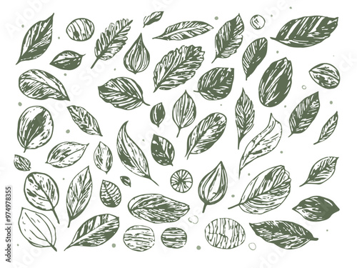 leaf print vector set