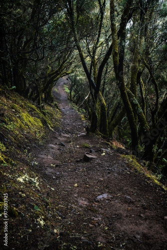 Masca village, the most visited tourist attraction of Tenerife, Spain