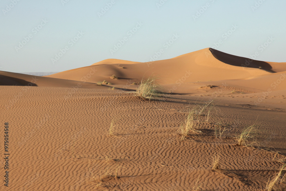 Sahara dunes,near Morocco, North Africa Sahara dunes,near Morocco, North Africa