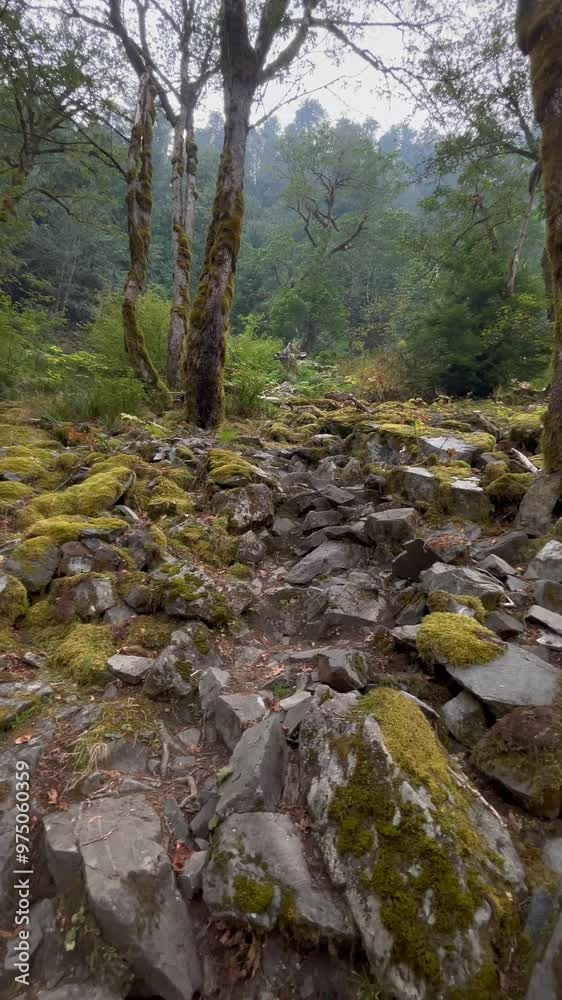 Take A Breather With Rushing Waters - Mount Baker-Snoqualmie National Forest