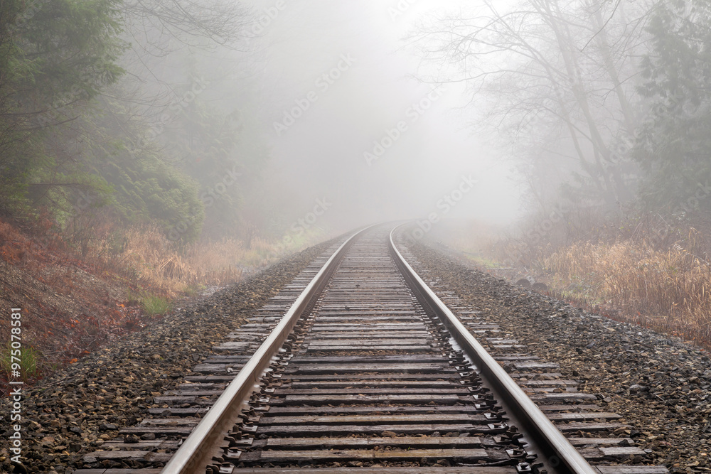 Misty Railway Along the Edge of Burns Bog, North Delta Misty Railway Along the Edge of Burns Bog, North Delta