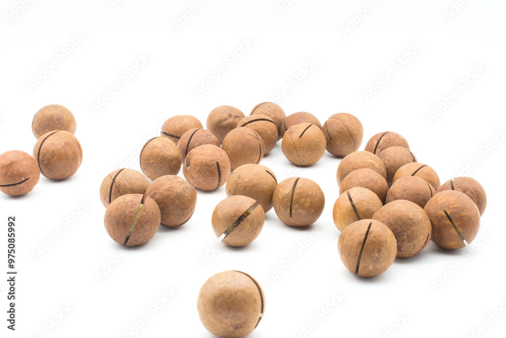 Macadamia nuts on a white background