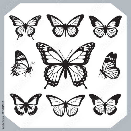 Wallpaper Mural Butterfly silhouette icon, Silhouettes of butterflies. Black of funny butterflies. Insect butterfly black silhouette, Set of butterflies Torontodigital.ca