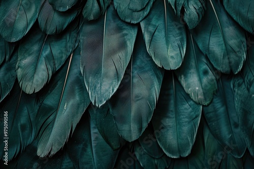 Beautiful dark green viridian vintage color trends feather texture background photo