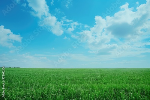 Green field and blue sky