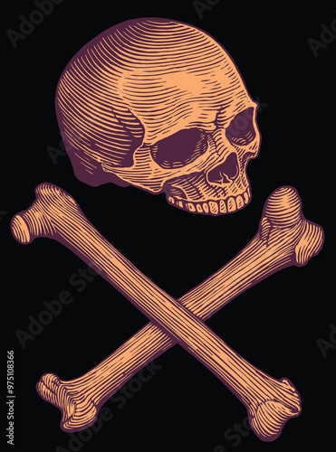 Human skull and bones. Editable hand drawn illustration. Vector vintage engraving. Isolated on black background. 8 EPS