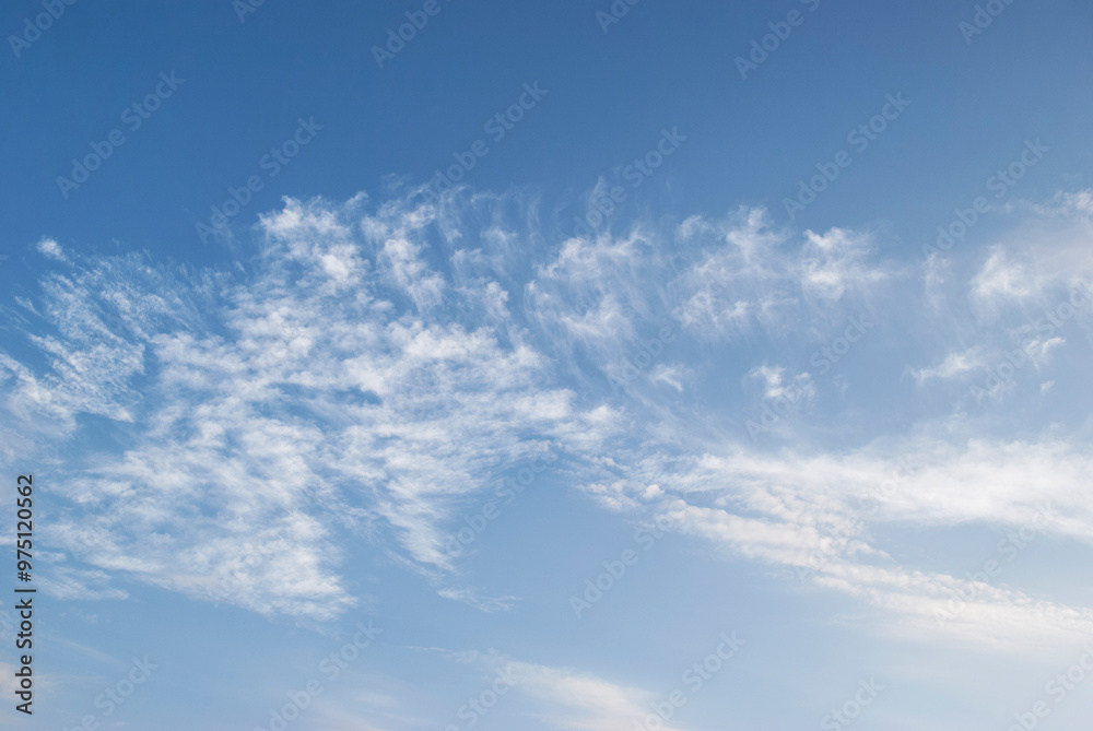 Obraz premium gentle white clouds in the blue sky