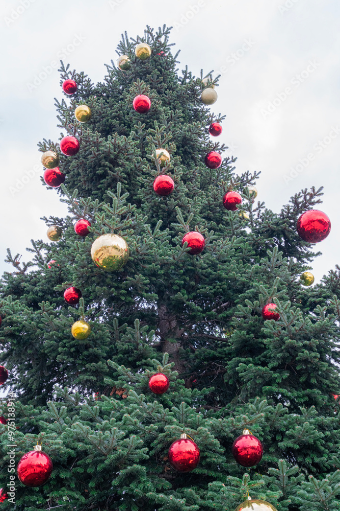 Decorated Christmas tree adorned with red and gold ornaments during winter Decorated Christmas tree adorned with red and gold ornaments during winter