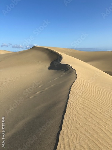 sand dunes in the desert