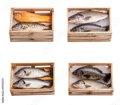 Fresh caught fish displayed in wooden crates. Ideal for culinary, seafood, and market themes. photo