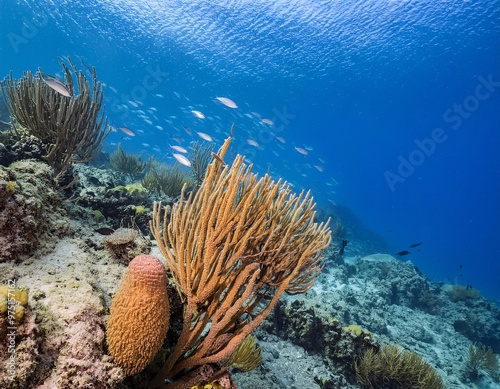 sea ​​views with clear and stunning turquoise waters, featuring beautiful coral reefs, generative ai photo