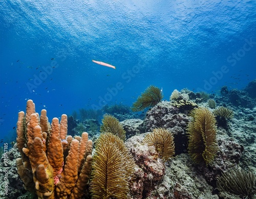 sea ​​views with clear and stunning turquoise waters, featuring beautiful coral reefs, generative ai photo