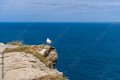 View of Cliffs, and Sea with Blue Water and a white seagull 