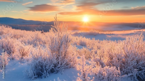 Chilly frosty morning illuminated by a beautiful winter sunrise over the snow covered landscape