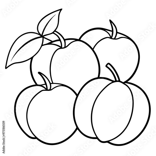 various peaches outline coloring book page line art drawing photo