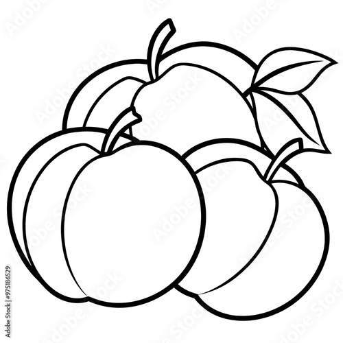 various peaches outline coloring book page line art drawing photo