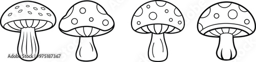 Mushroom vector art set  drawing 