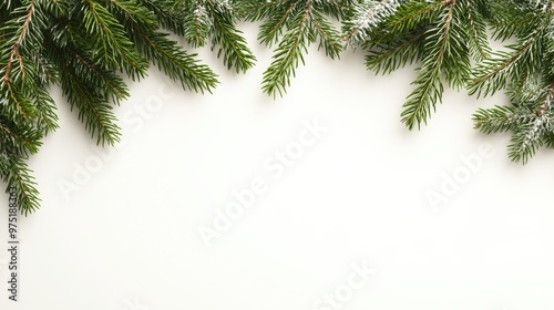 Evergreen Pine Branches Border White Background Christmas Winter Holiday