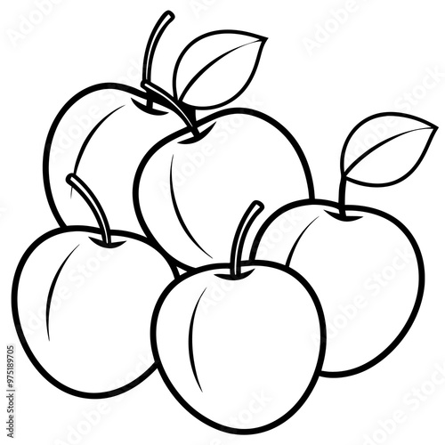 various plums outline coloring book page line art drawing