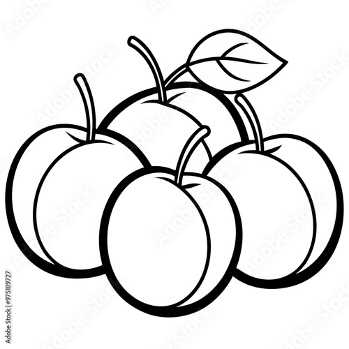 various plums outline coloring book page line art drawing
